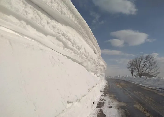 Sanmari_forest Brvnara *